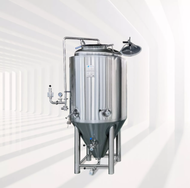 image of 500L Fermentation Tank Customized Top Shadowless Manway